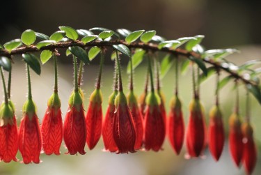 肇庆端州区1私人快速借钱网，轻松解决资金难题