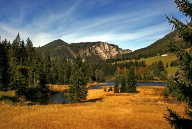 肇庆端州区1民间私贷攻略：揭秘低成本借贷的秘密