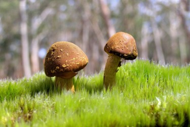 肇庆端州区1私人老板放款：轻松融资的秘密通道